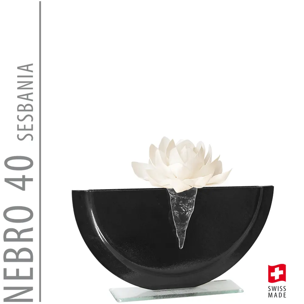 Bettina Eberle Nebro 40 Sesbania Black
