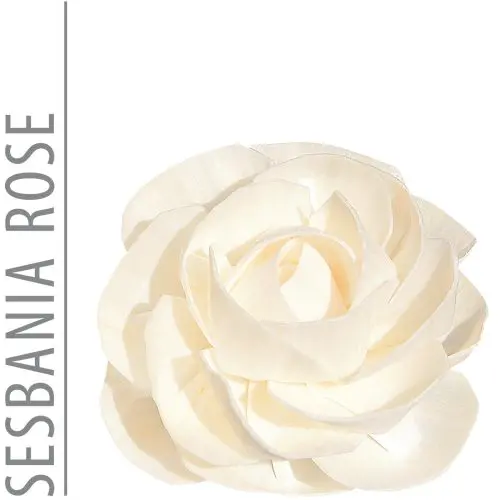 Sesbania Flower Rose