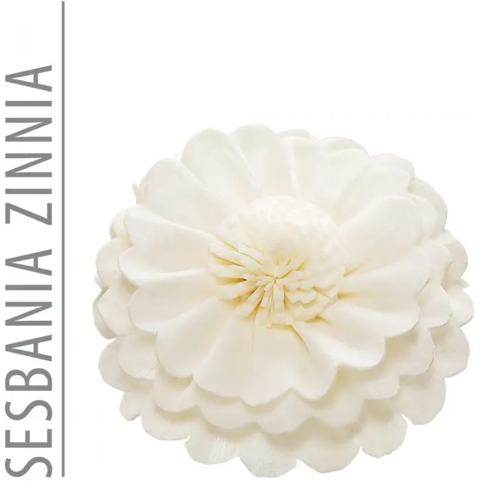 Sesbania Flower Zinnia