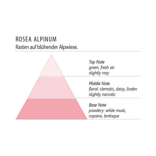 Terra Alpina Room Aroma Sticks 125ml Rosea Alpinum
